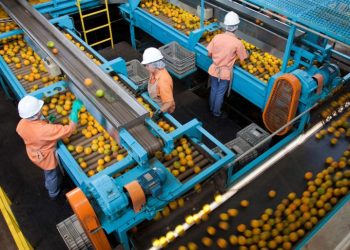 Orange juice importer says Brazil tariffs will squeeze American consumers