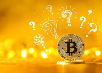 Crypto Market Update: ARK Picks Canadian Staking Partner, PayPal Unveils New Service