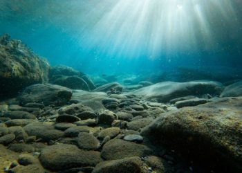 New Research on Deep-Sea Mineral Sources Reveals Ecological Importance